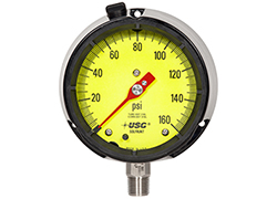 1981 Pressure Gauge